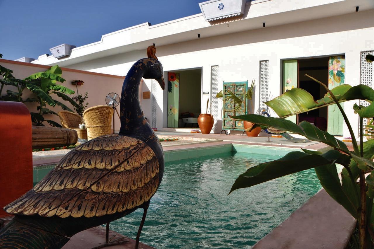 אודייפור Parijat Private Pool Villa 1, 2 And 3 Bhk מראה חיצוני תמונה